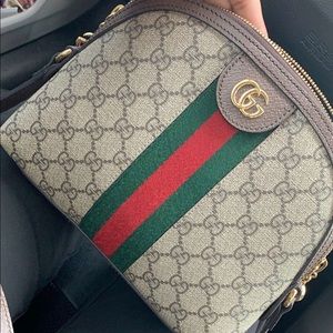 Ophidia línea Dragoni GG supreme